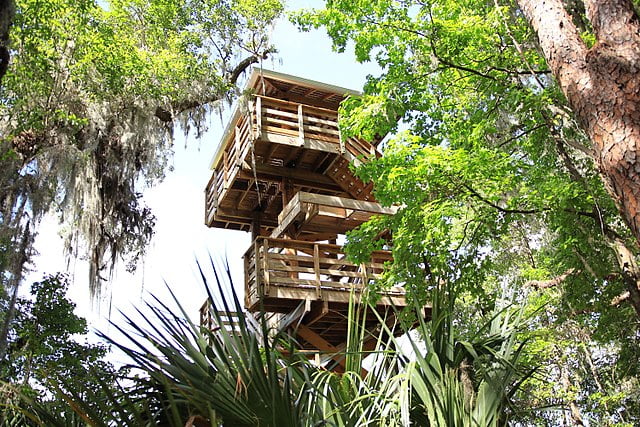 The viewing tower at Paynes Prairie Preserve State Park.