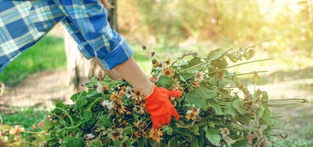 Weed and trim your flower beds.