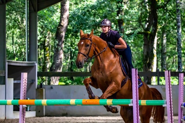 Ocala's Grandview International is one of the exciting events hosted by our horse farms each year.