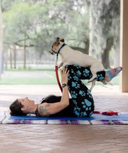 dog workout