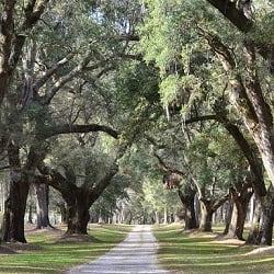 Ocala communities and subdivisions offer choices. Woodfield offers beauty, serenity and a slower pace of life.