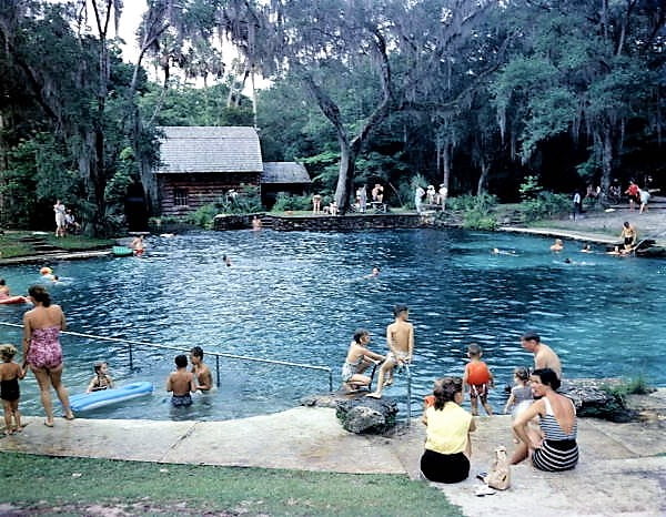 Springs in Ocala National Forest