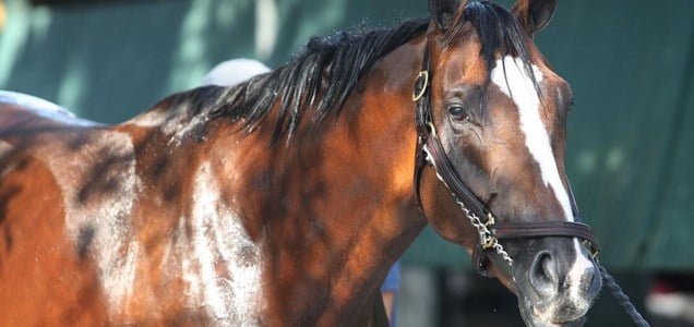 Authentic, this year's Kentucky Derby winner.