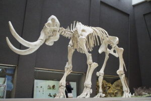 mammoth 1257288 640