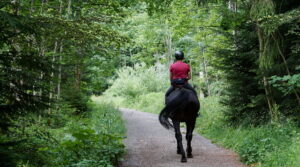 beth macdonald 7Y8gfWM 1dw unsplash