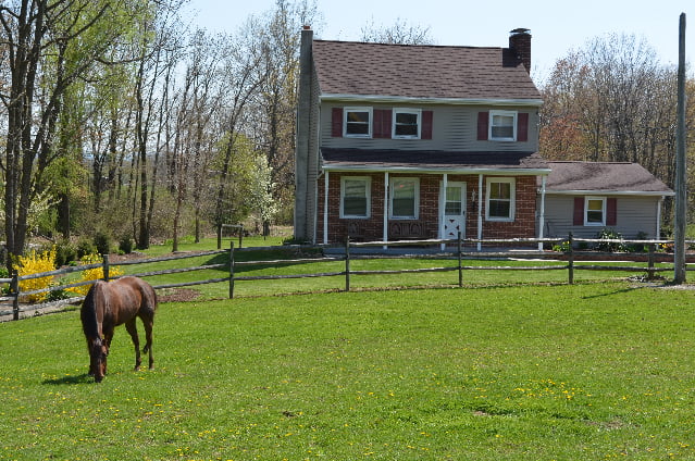 Ocala's equestrian lifestyle features horse farms dotting the countryside.