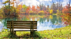 wood bench 986347 1280