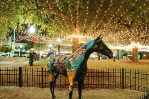 Light Up Ocala