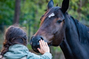 horselove