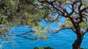 beach 3400920 1280