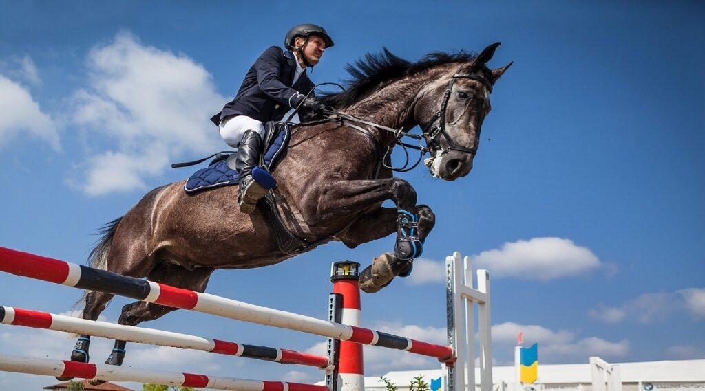 "Horse Jumping" Blog Featured Image