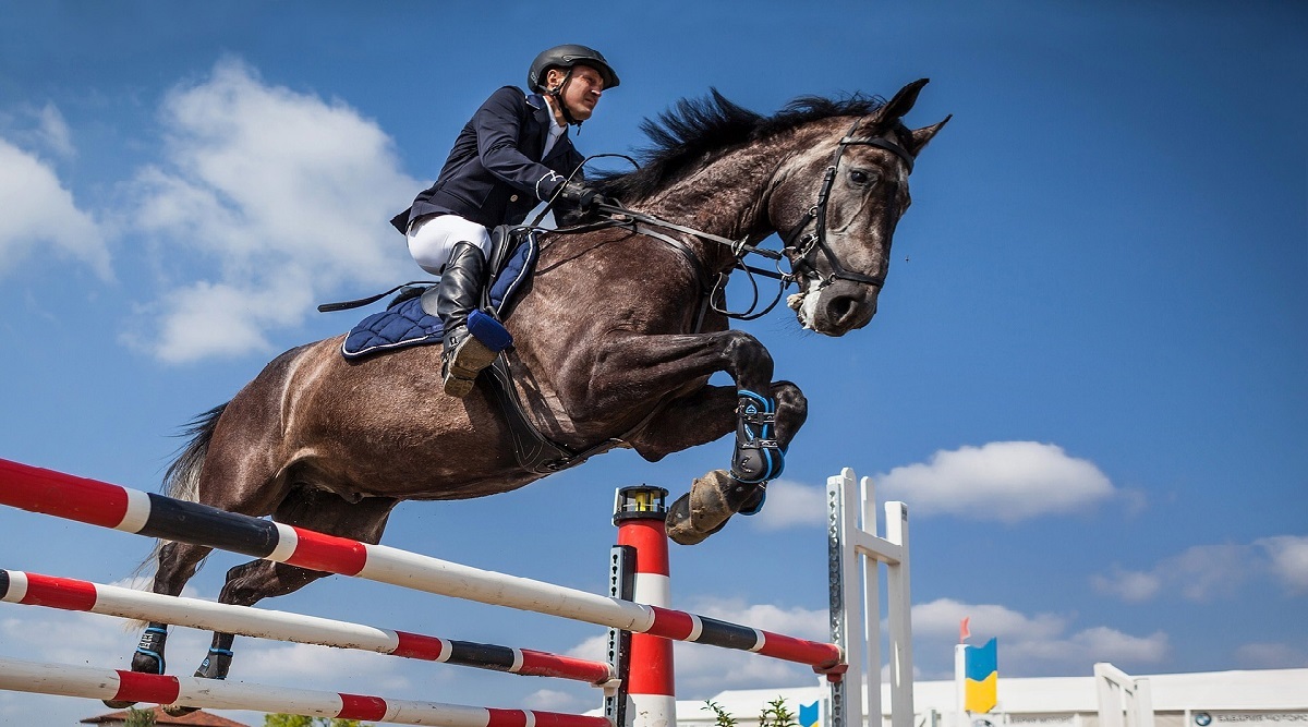 "Horse Jumping" , an Ocala Lifestyle Blog Featured Image