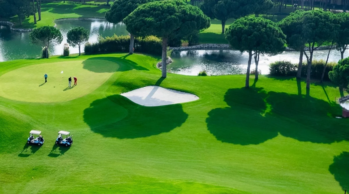 Golden Ocala Golf and Equestrian Club homes for sale open the gateway to uncompromising luxury.