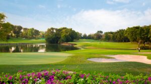 Golden Hills Ocala homes for sale!