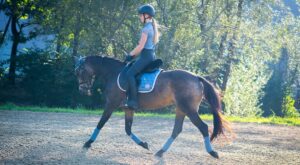 Investment in Gold Ocala real estate opens the door to a luxury equestrian lifestyle.