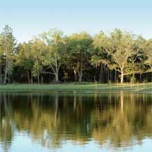 Bellechase Bellechase Homes For Sale - In The Heart of Nature